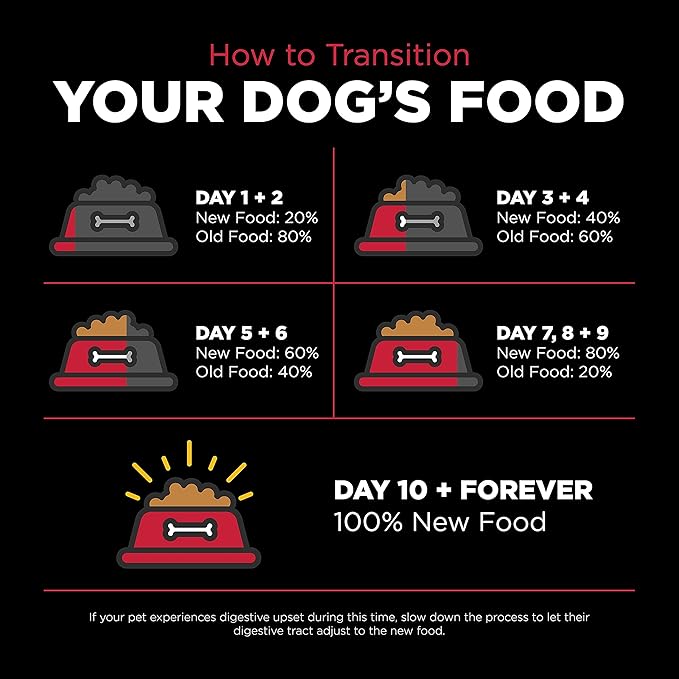 Go! Solutions Skin + Coat Care, Dry Dog Food, Lamb Recipe with Grains, 12 lb Bag