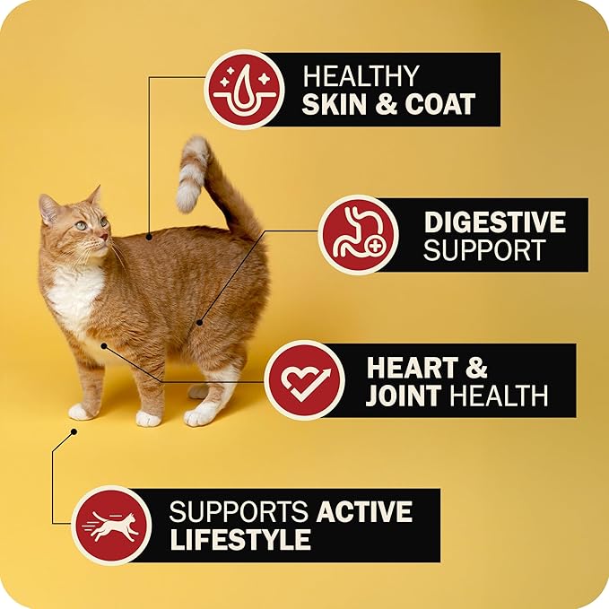 Redbarn Air Dried Powerfood for Cats with Real Chicken – Made in USA High Protein, Grain-Free Dry Cat Kitten Food Full Meal or Topper for Picky Eaters Supports Energy & Healthy Skin Coat – 2 lb Bag