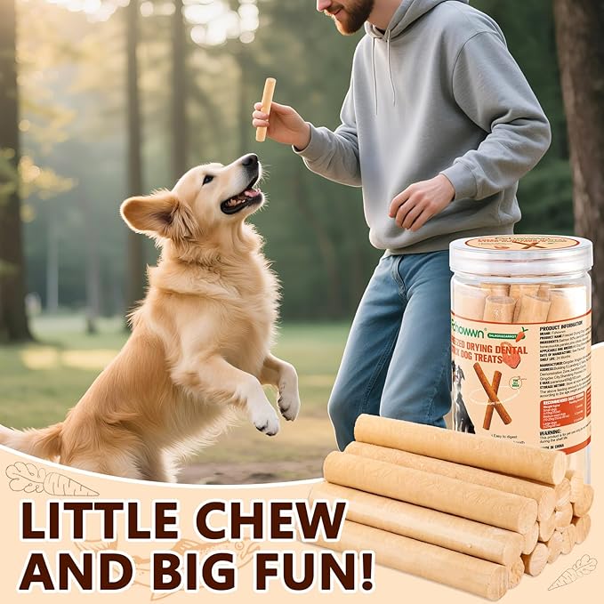 75g Dehydrated Salmon Sticks for Dog,Natural Salmon and Carrots,Easy to Digest and High Protein,for Daily Dog Training and Dental Healthy