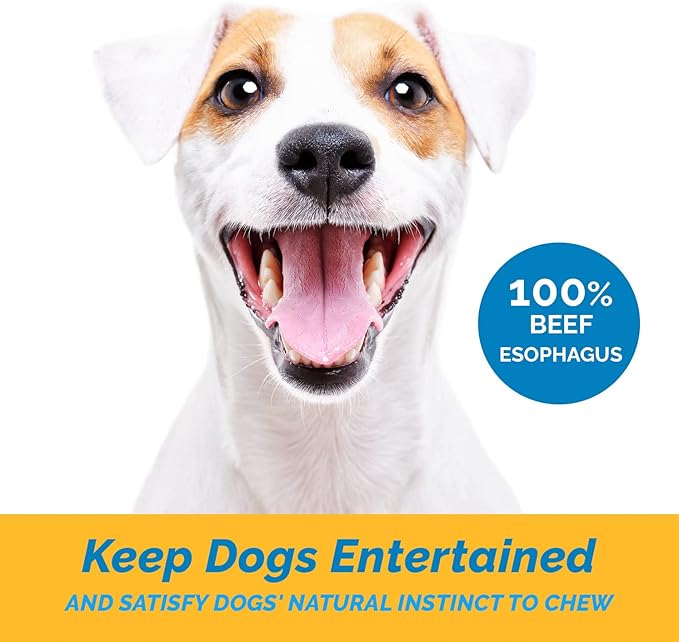 Esophagus Dog Treats - (12 Inches - 20 Count) 100% Natural, Flat Gullet Sticks for Dogs, Beef Jerky Dog Treats Strips, NO Preservatives, Hormones, or Antibiotics