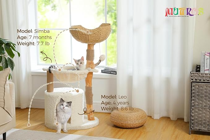 Modern Cat Tree for Large Cats, Wood Cat Tower for Indoor Cats, Real Branch Luxury Cat Furniture with Super Large Cozy Condo and Hammock & Scratching Post, Top Basket, White