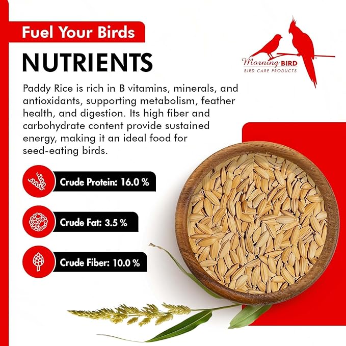 Morning Bird Paddy Rice 9 lbs Bird Seed for Optimal Health & Nutritious Pet Bird Food – Supports Feathers & Immunity – Ideal for All Seed Eating Birds.