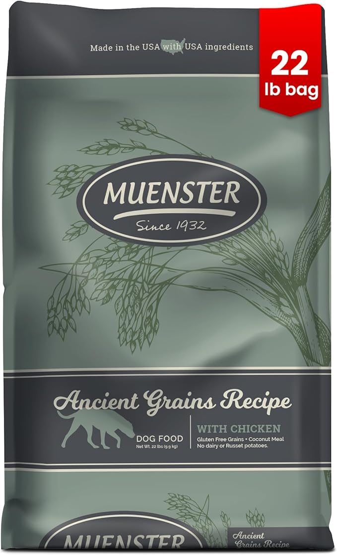 Muenster Ancient Grains Chicken Dry Dog Food, 22lb - Gluten-Free, High Protein, Digestive Support