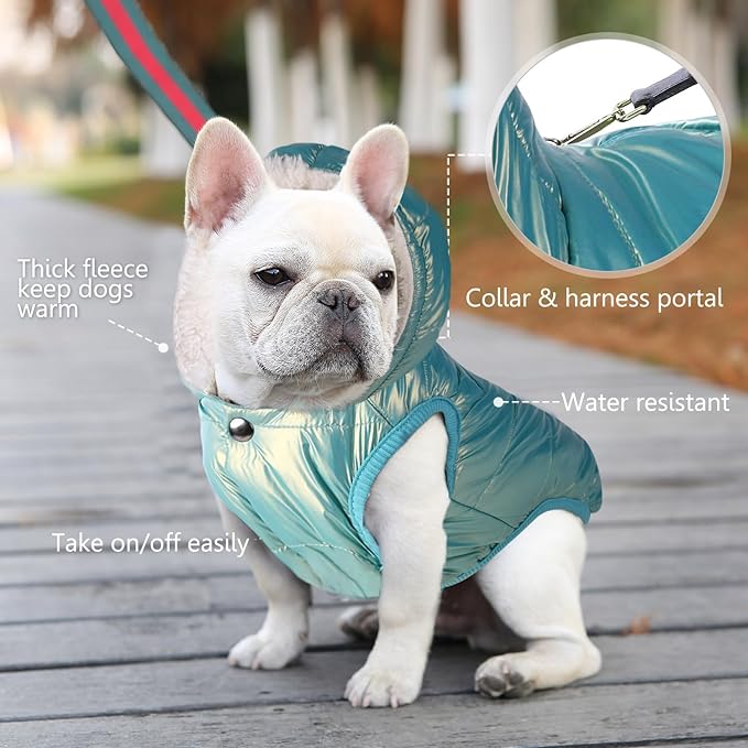 Dog Fleece Hoodie, Windproof Waterproof Dog Coat Fleece & Cotton Lined Warm Jacket, Cold Weather Pet Apparel Clothes Vest for Dogs (L,Mintgreen)