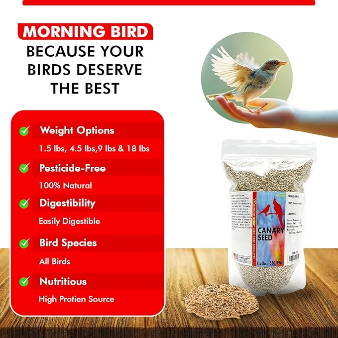 Morning Bird Canary Seed – Nutritional Rich in Vitamins and Supplements for Birds – Ideal for Healthy Feathers and Strong Bones Seed for All Birds Type 1.5 lbs