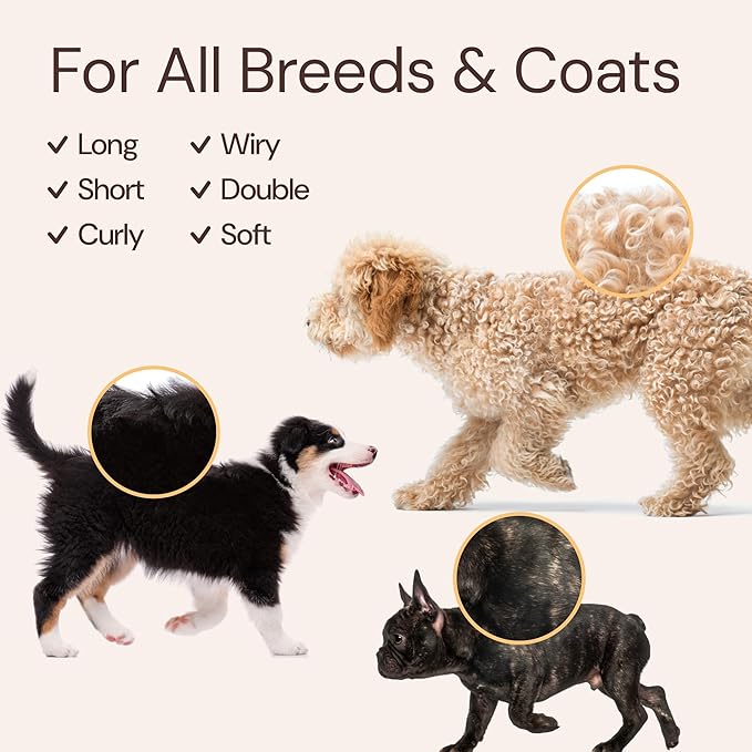 Sunny & Honey Professional Dog Shampoo Bundle - 16 oz Coconut Shampoo & 8 oz Breeze Perfume - 4-in-1 Cleanse & Condition - Includes Deshedding Brush, Microfiber Towel & Deodorizing Cologne Spray