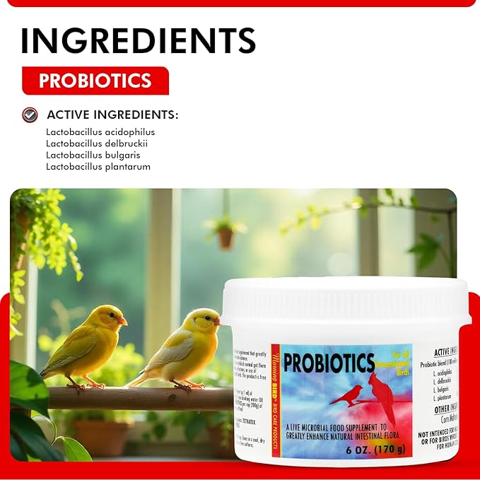 Morning Bird Probiotics for Birds 6 oz– Digestive Health Supplement with Supports Gut Balance, Nutrient Absorption & Immune Support – Easy Mix Powder Supplement for All Bird Species