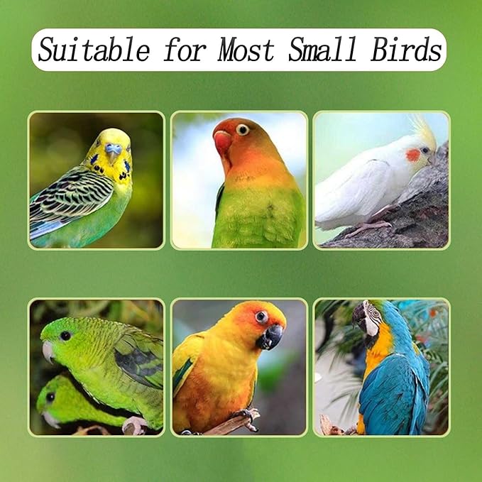 No Mess Bird Feeder for Cage, Automatic Acrylic No Mess Bird Feeder Cage for Parrots Canary Parakeet Budgerigar Crested Myna Cockatiel Lovebird (Large)
