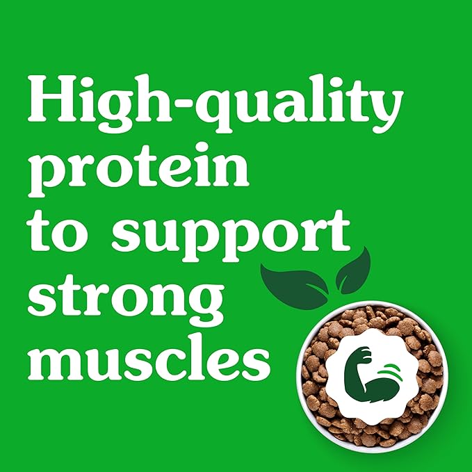 Greenies Smart Essentials Small Breed Adult High Protein Dry Dog Food Real Chicken & Rice Recipe, 27 lb. Bag