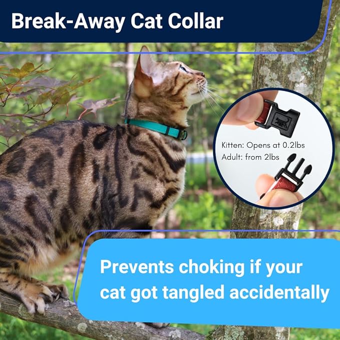 OutdoorBengal Durable Cat Collar Breakaway with Soft Padding for Medium to Large Cats - Thin Heavy Duty Tactical Fabric, Comfortable, Quick Release Breakaway Cat Collars, No Bell Collar (Blue, Adult)