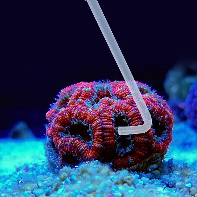 SLSON Aquarium Coral Feeder Waste Cleaner for Fish Tank Maintenance Long Pipette Suction Dropper Tool Acrylic Water Transfer Waste Remover Fish Feeder (24.8 inches)