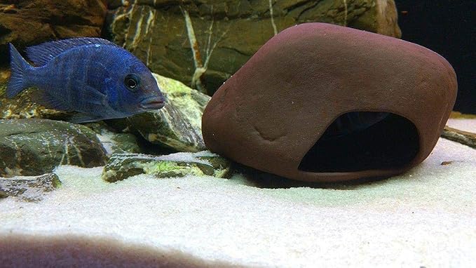 Plecoceramics Cichlid Stone Decoration - Aquarium cave for cichlids, betta, small fish - Fish Tank Hideway Decor - betta Toys Hideout Stones House (Stone Medium)