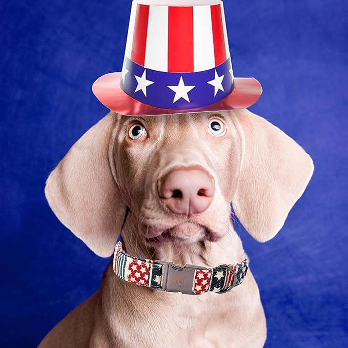 Elegant little tail Independence Dog Collar, Holiday Pet Collar Patriotic Dog Durable Dog Collars Girl or Boy Soft Pet Gift Adjustable Dog Collar for Small Medium Large Dogs