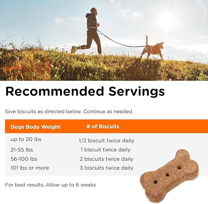 Nutri-Vet Skin & Coat Biscuits for Dogs, Tasty Dog Treat, Skin and Coat Supplement, Small Sized Biscuit, Omega-3 and Biotin, 16 oz
