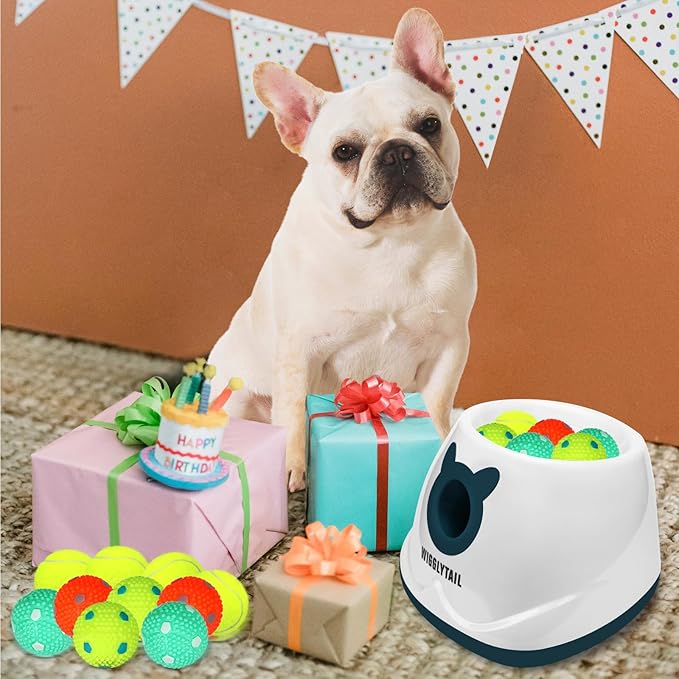 Automatic Ball Launcher for Dogs, Dog Fetch Ball Thrower Launcher, 4 Adjustable Distances, Interactive Pet Self Playing for Small Dogs and Puppies with 10 Balls (2 inches)