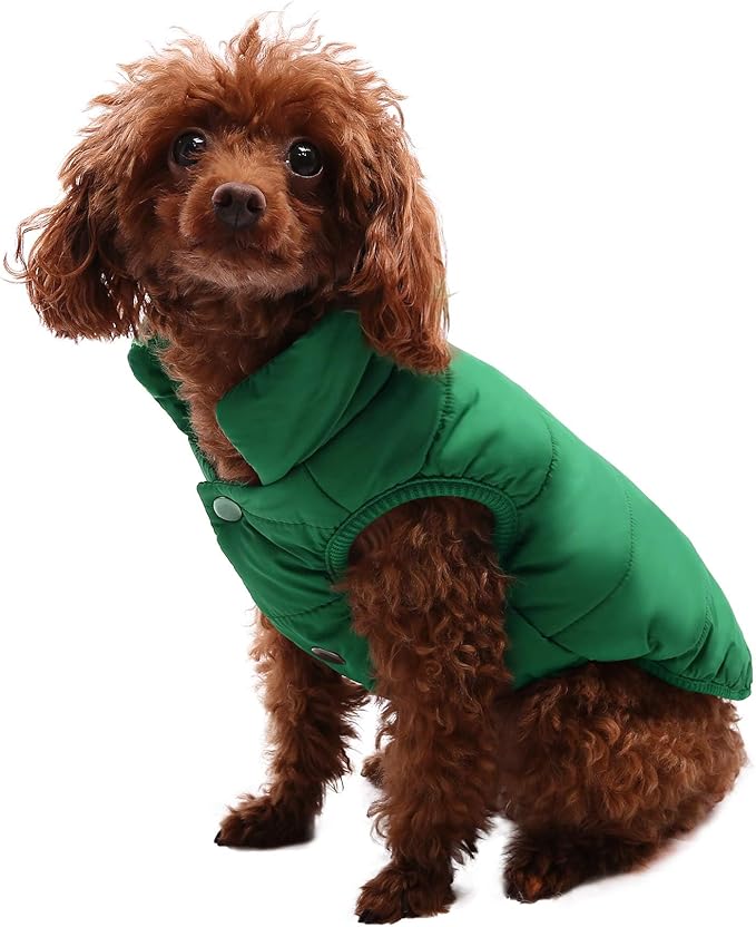 ASENKU Dog Winter Coat - Waterproof Windproof Dog Jacket, Warm Snowproof Doggie Puffer Vest for Cold Weather, Lightweight Snow Coats for Small Medium Large Dogs (S, Green)