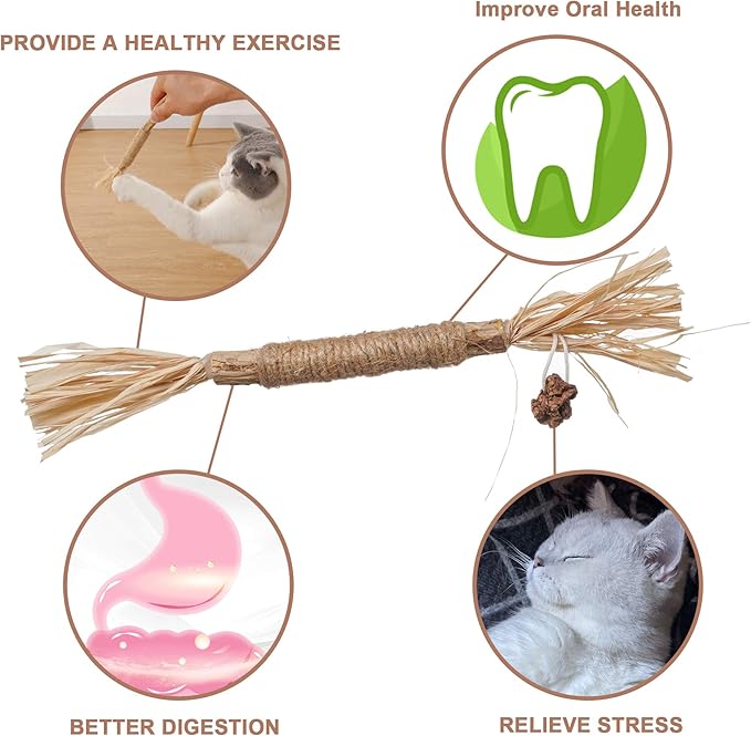 PAZ'S GIFT Catnip Toy Cat Toys Catnip Toy cat chew Toy cat Kicking silvervine Stick Teeth Cleaning Cute Kitten Teething Indoor Interactivecat Dental Care Matatabi (Raffia 3pcs)