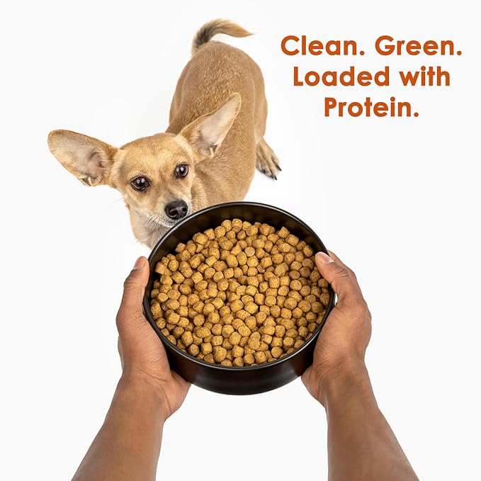 Wild Earth Vegan Dry Dog Food | Plant-Based Maintenance Formula | Vegetarian, Allergy Relief, Veterinarian-Developed for Complete Nutrition | Classic Roast Flavor, 4 Pound Bag