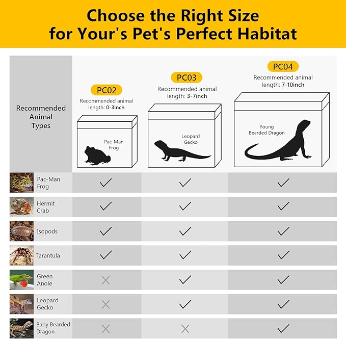 Reptile Terrarium Kit 12" x 7"x 9" Spider Tank Starter Tank, Leopard Gecko Tank, Tarantula Cage Hermit Crab Habitat, Lizard Enclosure, Insect Tank Kit, Jumping Spider Enclosure, Small Isopod Terrarium