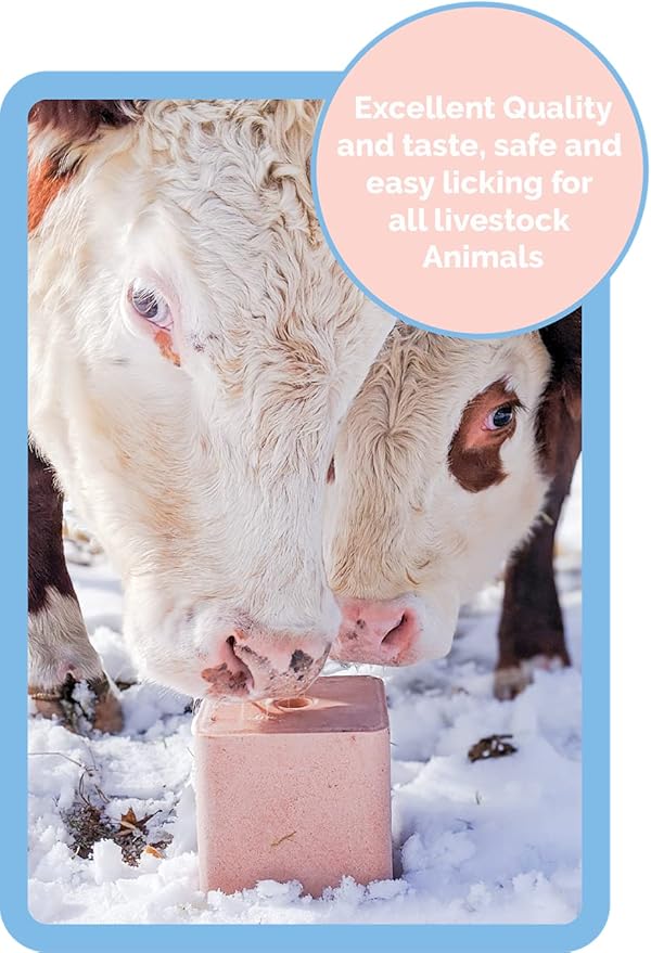 Himalayan Secretsยฎ 22LB (10KG) Compressed Pink Himalayan Salt Lick | for Livestock and Wildlife Animals | 100% Pure & Natural Feed Salt Block | Natural Minerals and Trace Elements