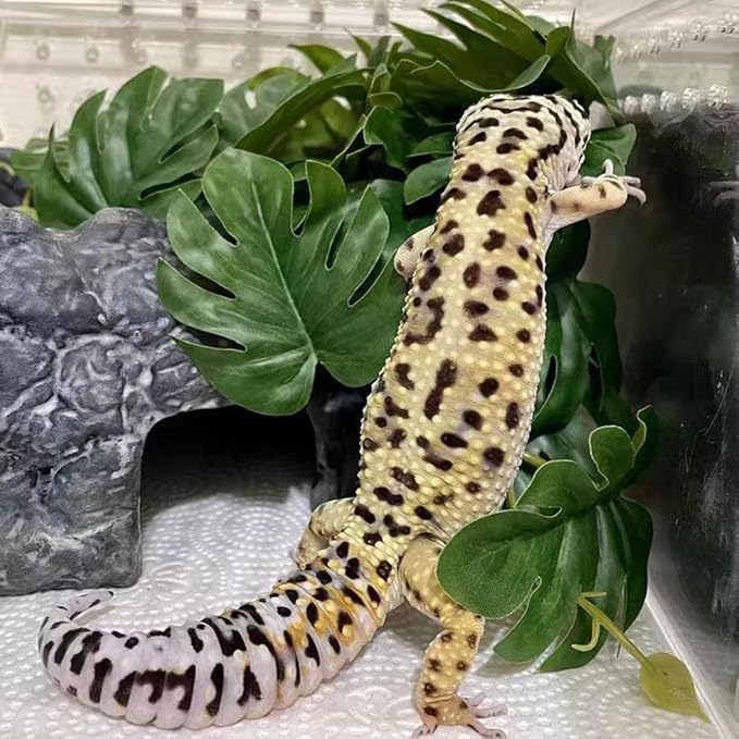 Reptile Plants for Terrarium Decor,Amphibian Habitat Decor,Artificial Plants for Gecko Chameleon Snake Tortoise Tank Accessories with Base (Monstera deliciosa)