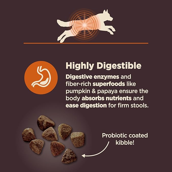 Wellness CORE Digestive Health Dry Dog Food, Wholesome Grains, Natural, Recipe for Dogs with Sensitive Stomachs, Chicken, (24-Pound Bag)