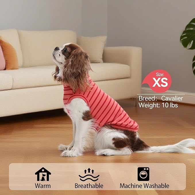 2 Pack Stripe Dog Sweaters for Small Dogs, Warm Stretchy Pets Coats Sweatshirt, Soft Dog Fleece Vest, Winter Clothes Pullover Pajamas for Pets Boys & Girls, Teacup, Chihuahua, Pink XS