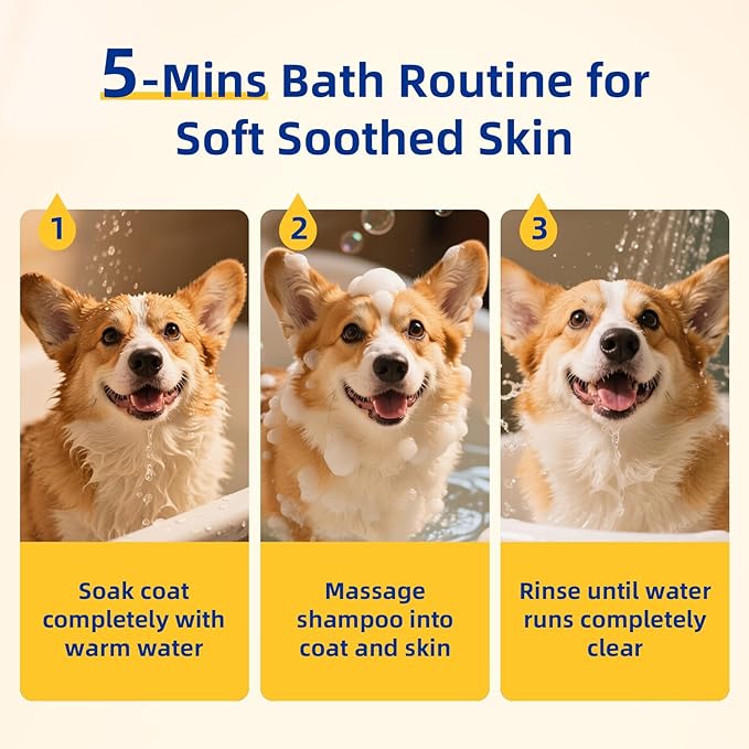 Unipaws Probiotic Dog Shampoo for Short-Haired Coats โ Itch Relief, Deodorizing & Hydrating for Healthy, Fresh Skin with Calendula & Oatmeal โ EWG Green & White Tea Scent, Made in Korea, 16.9 Fl Oz
