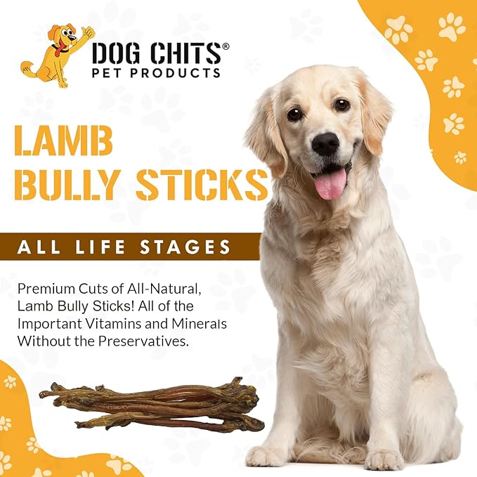 Dog Chits Lamb Bully Sticks for Dogs and Puppies | 8 oz (12 Pieces+) | Natural Healthy Long Lasting Chew for Large and Small Dogs Protein Treats | Odor Free