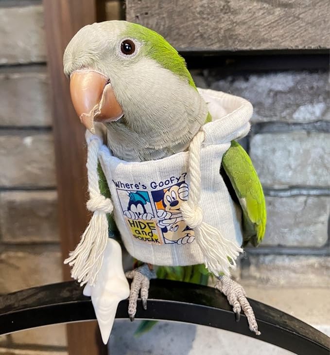 Bird Costume Diaper Flight Suit Frog Shape Hoodie Clothes Cosplay Photo Prop for Parrots Parakeet Cockatiel Sun Conure, Small Animals Apparel (White with Hat, Medium), Green,White (BPF1)