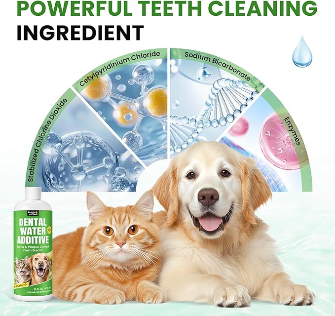 Dog Breath Freshener – Enzymatic Dog Dental Water Additive for Teeth Claning – Freshens Breath & Reduces Tartar – Easy Dog Mouthwash Cleaner for Teeth & Gums – No Brushing Needed, Uncented, 16oz
