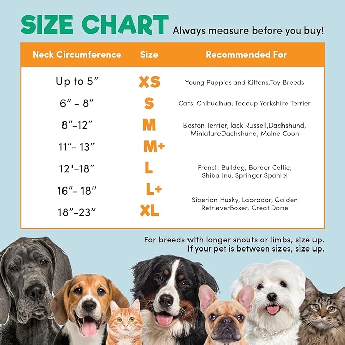 BENCMATE Inflatable Dog Cone Collar Alternative, Soft Dog Cone for Small Medium Large Dogs and Cats, Neck Recovery ECollar Donut Collar After Surgery (Large+, Dark Grey)