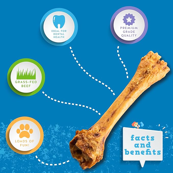 Jack&Pup 8-11” Shin Bones, Roasted Meaty Beef Bone for Dogs – Long Lasting Natural Dog Bones, Big Dog Bone for Large Dogs (3 Pack)