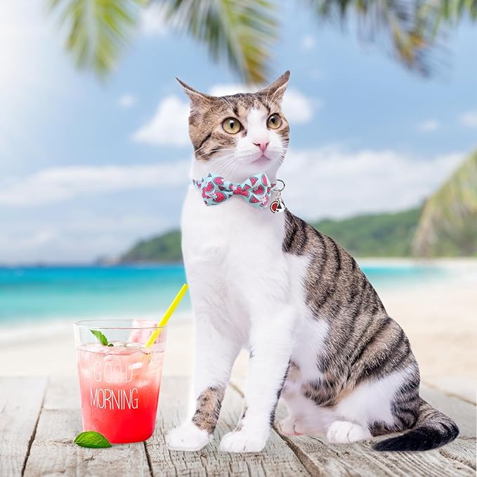 SCENEREAL Breakaway Cat Collar with Bell, 3 Pack Safety Adjustable Cat Collars with Pendant, Personalised Puppy Kitten Collar with Bow for Spring Summer Boys Girls, Pineapple & Lemon & Watermelon