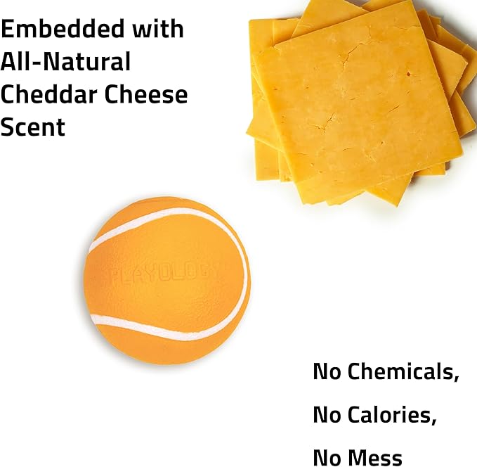 Playology Dog Toys | Squeaky Chew Ball - Bouncy Durable Floating Fetch Ball for Dogs | Medium Cheddar Cheese Scented Toy - Easy to Clean and Made from Non Toxic Materials
