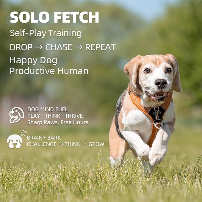 AutoDog Ball Launcher - Large Silent Dog Ball Thrower with Remote Control, 3 Adjustable Distances (40t/60ft/80ft), Rechargable,Includes 6 Durable 2.5" Balls for Medium/Large Dogs (Silver grey, Large)