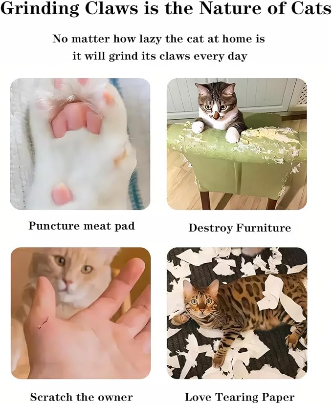 Magic Organ Cat Scratcher Board Cat Ball,Cat Toy Made of Recyclable Corrugated Cardboard, Scratch-Resistant and Abrasion-Resistant, Foldable