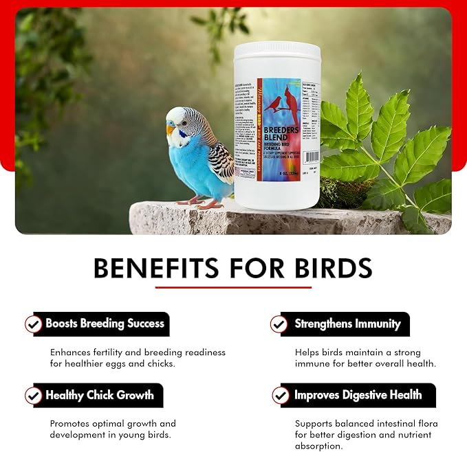 Morning Bird Breeders Blend 8 oz – Protein Supplement for Birds – Supports Breeding, Chick Growth, Muscle Development & Immune Support – Daily Vitamin Blend for Strong Bones & Overall Health