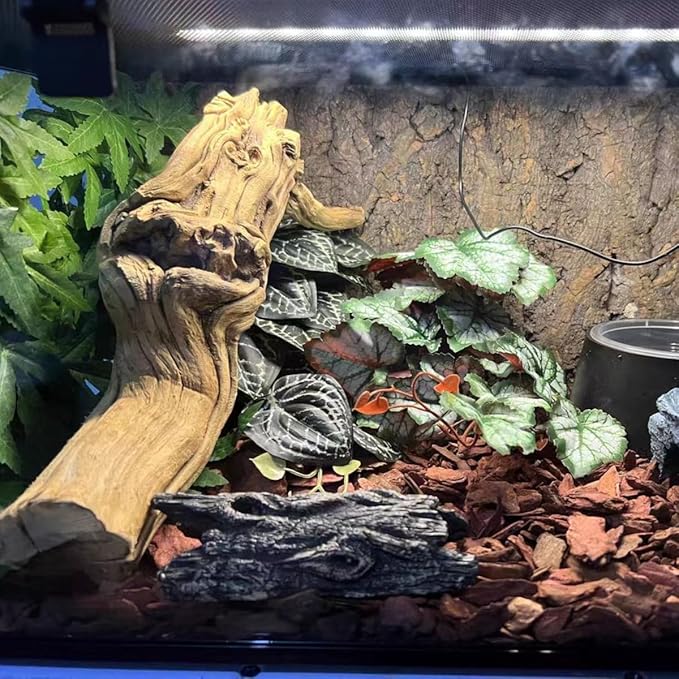 Reptile Plants for Terrarium,Amphibian Habitat Decor,Artificial Plants for Gecko Chameleon Snake Tortoise Bearded Dragon Tank Accessories with Base(Anthurium Crystallinum)
