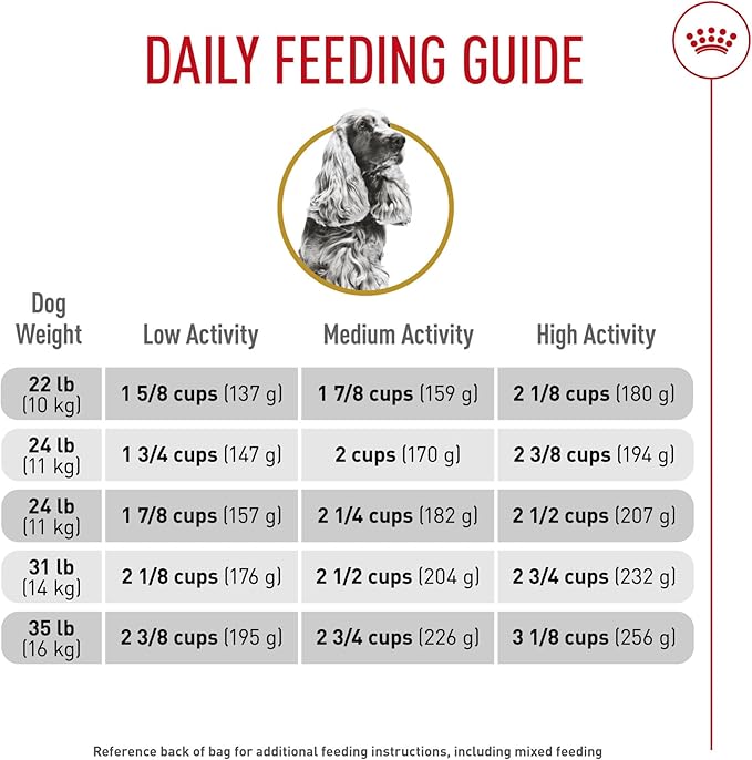 Royal Canin Cocker Spaniel Adult Dry Dog Food, 25 lb bag