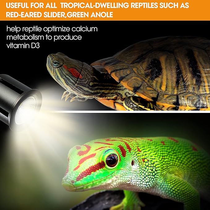 Premium 5.0 UVB Reptile Light,UVA UVB 3W Full Spectrum,Tropical Light Bulb for Optimal Calcium Metabolism,Ideal for Tropical-Dwelling Reptiles Turtle Green Anole