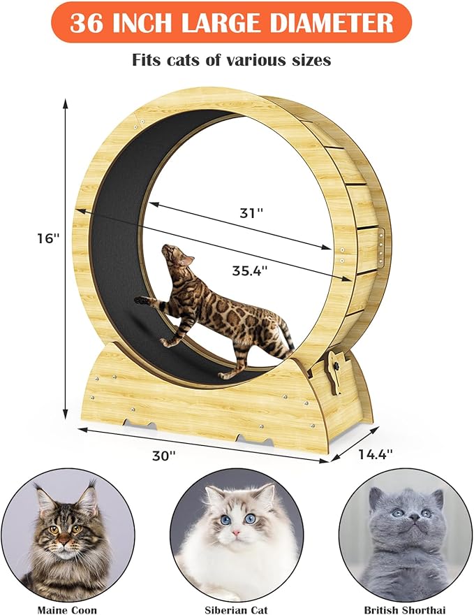 Cat Exercise Wheel for Indoor Cats, 36" Cat Treadmill Wheel with Detachable Carpeted Runway, Natural Solid Wood Sturdy Running Wheel for Running/Training/Walking, Suitable for Most Cats