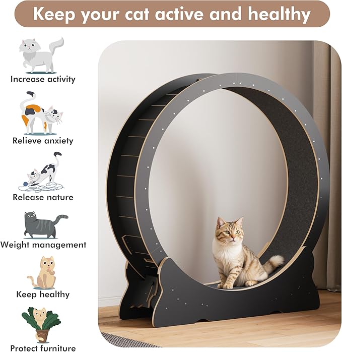 Cat Exercise Wheel, 43.3 inch Cat Wheel for Indoor Cats with Carpeted Runway, XL Cat Treadmill with Removable Carpet and Cat Teaser, for Running Walking Training (Black)