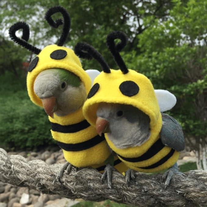 Bird Costume Diaper Flight Suit Bee Shape Clothes Cosplay Photo Prop for Parrots Lovebird Budgie Parakeet Cockatiel Sun Conure, Small Animals Apparel (Bee Without, Small), Green, BPF1
