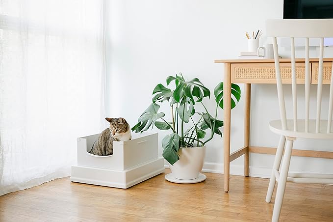 V2 Deluxe Cat Litter Box Starter Kit, Includes 56ct Disposable Standard Sifting Liners, White