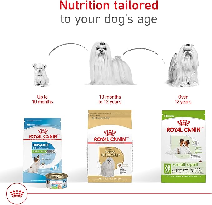 Royal Canin Maltese Adult Dry Dog Food, 2.5 lb bag
