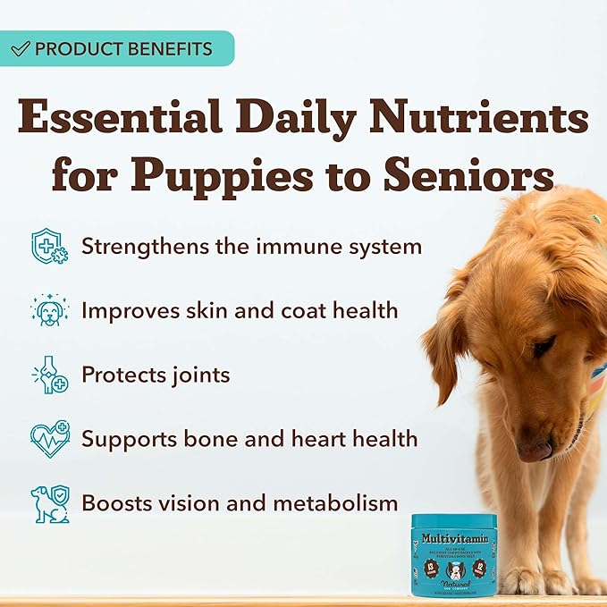 Natural Dog Company Multivitamin Chews (180 Pcs) Dog Vitamins & Supplements, Peanut Butter & Bacon Flavor, Dogs, Supports Immune System, Antioxidant, Vitaminas para Perros, Multi Dog Families