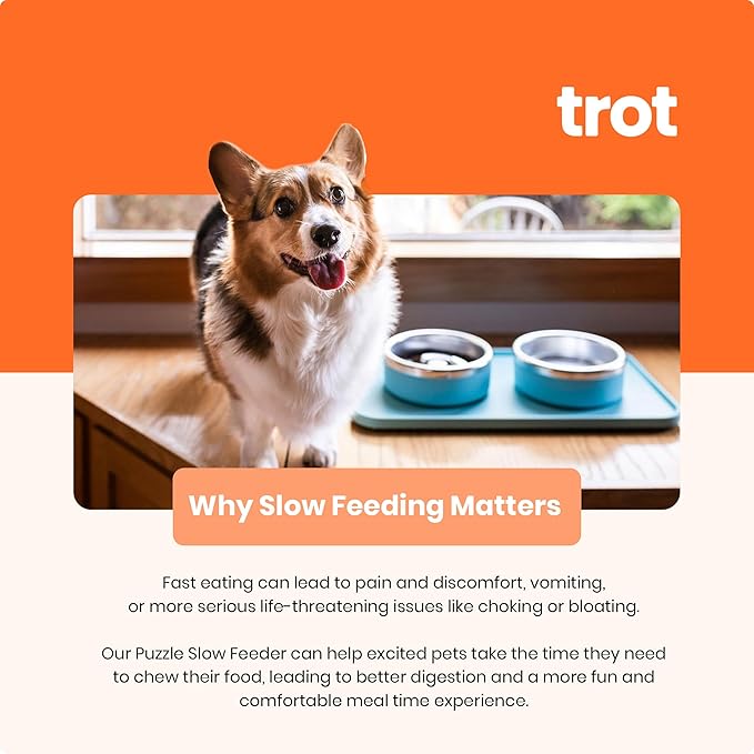 Trot Pets Elevated Dog Bowls | Stainless Steel Raised Bowl Set for Small, Medium, or Large Dogs | Non-Slip Food and Water Slow Feeder | Durable, BPA-Free, Anti-Skid, Dishwasher Safe (Sky, Small)