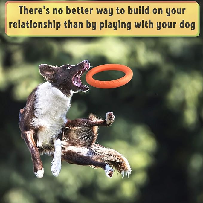 PetSpy Dog Training Ring for Outdoor Fitness Floatable Pulling Toy and Flying Disc Interactive Play Tool for Small Medium Large Dogs