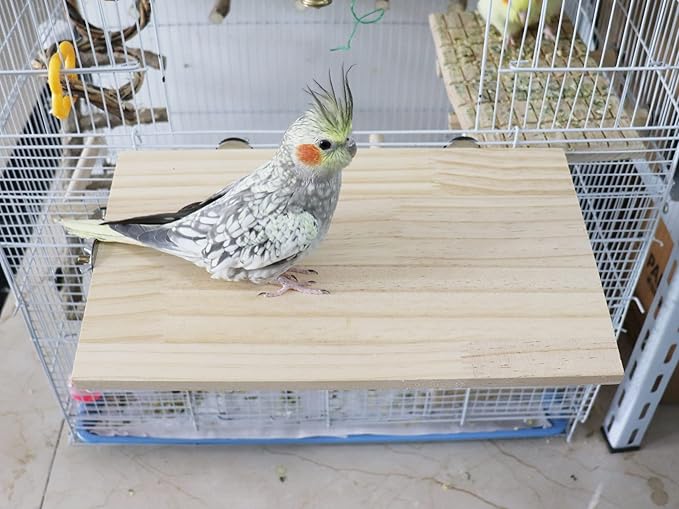 13.6ร7.9 Inches Large Bird Perch Stand Platform, Natural Wooden Small Animals Cage Accessories, Rectangle Stand Perch Shelf for Parrot Parakeet Cockatiel Rat Hamster Guinea Pig Conure Chinchillas
